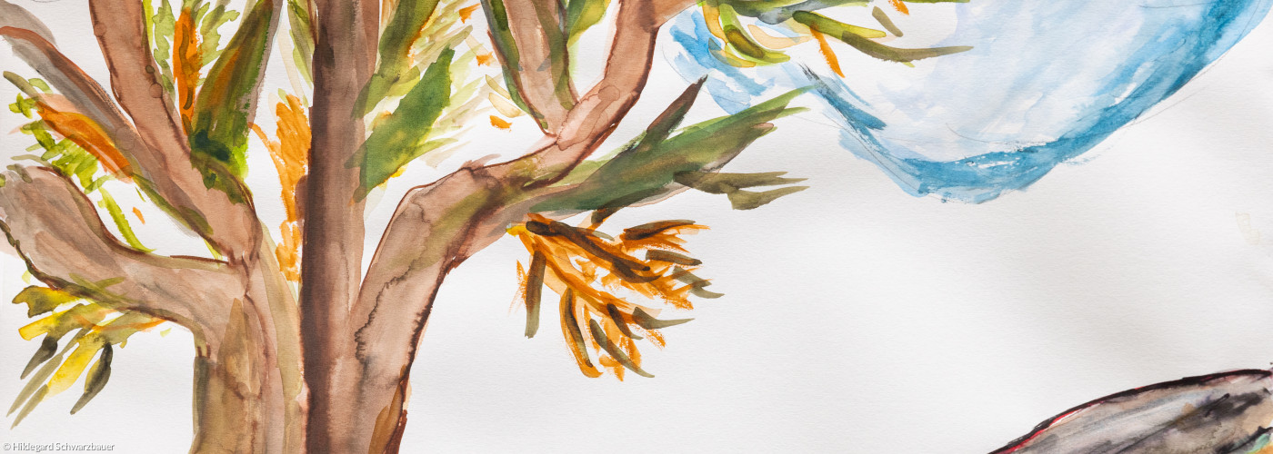 Herbstlicher Baum neben Weg, Wasserfarben; ©: Hildegard Schwarzbauer Herbstlicher Baum neben Weg, Wasserfarben